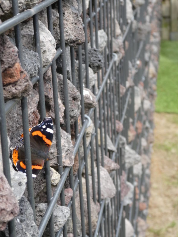 Gabion with Butterfly